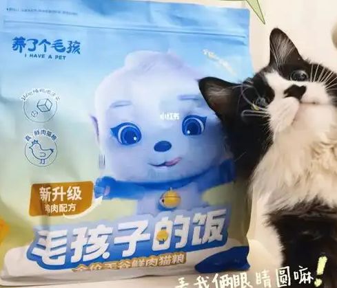 口粮！三只松鼠靠什么重返宠物食品赛道不朽情缘游戏入口零食巨头盯上毛孩子