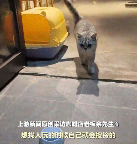 服务员”立马上前喊道二楼贵宾两位不朽情缘首页网友路过一家咖啡店“