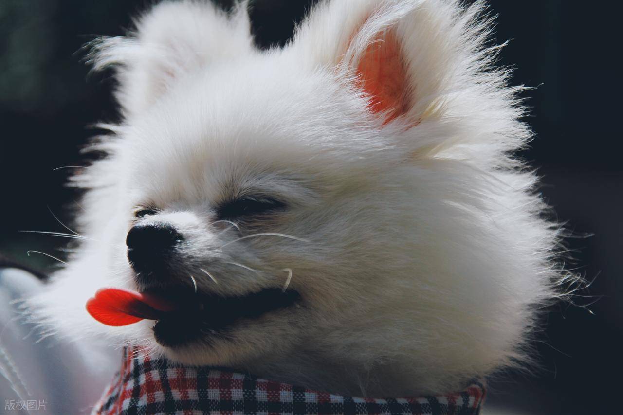 到店 “加好友送零食”私域月增 100 